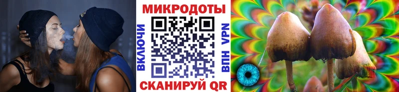 Псилоцибиновые грибы Magic Shrooms  Махачкала 